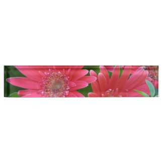 Pink Gerbera Daisy Nameplate