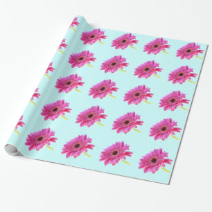 Pink Gerbera Daisy on Blue Background Wrapping Paper