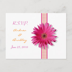 Pink Gerbera Daisy Plaid Ribbon RSVP Postcard