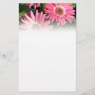 Pink Gerbera Daisy Stationery