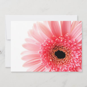 Pink Gerbera Daisy Thank You Card