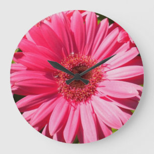 Pink Gerbera Daisy Wall Clock