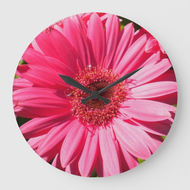 Pink Gerbera Daisy Wall Clock (Front)