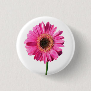 Pink Gerbera Flower Button / Badge