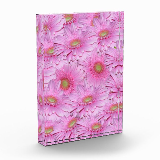 Pink Gerbera Flower Clusters,  Photo Block (Left)