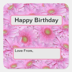 Pink Gerbera Flower Clusters, Square Sticker