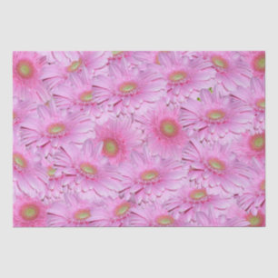 Pink Gerbera Flower Clusters, Tissue Paper