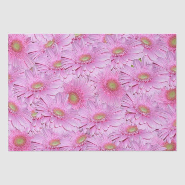 Pink Gerbera Flower Clusters,  Tissue Paper (Front)
