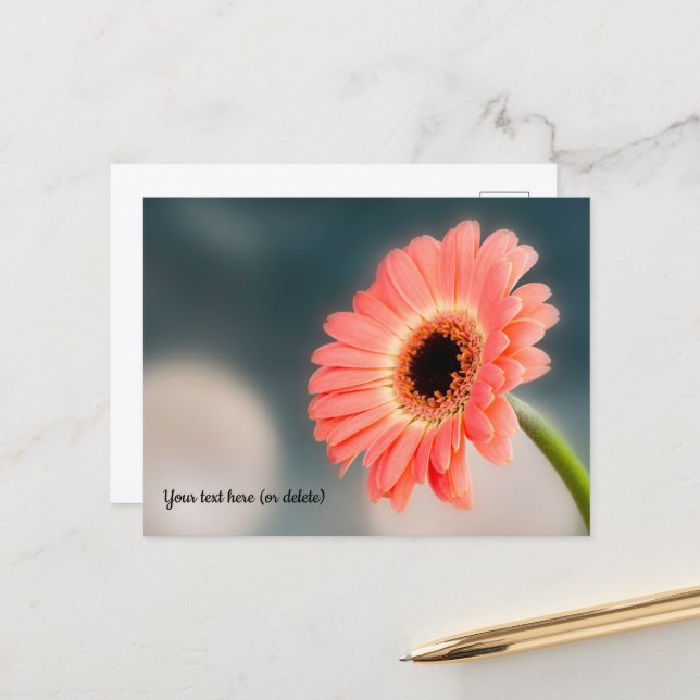 Pink Gerbera Postcard (Front/Back In Situ)