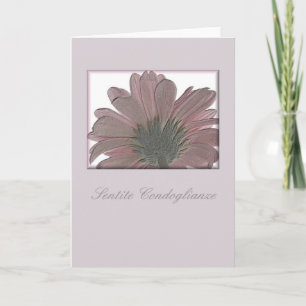 pink gerbera sympathy card italian