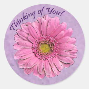 Pink Gerbera Thinking of You sticker