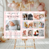 Pink Gingham First Birthday Photo Milestone