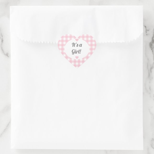 Pink Gingham Girl Baby Shower Gift Jar Label (Bag)