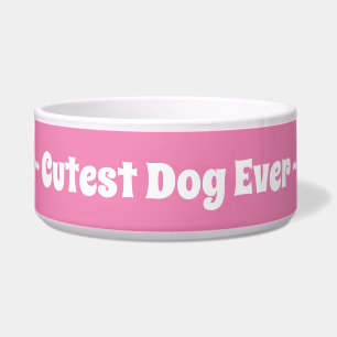 Pink Girl Cutest Dog Ever Pet