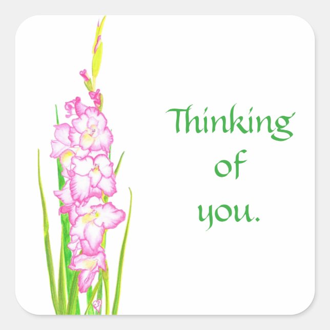 Pink Gladiola Flowers Thinking of You Stickers (Front)