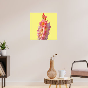 Pink Gladiolus Floral Poster