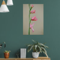 Pink Gladiolus Glad Flower Profile Art 