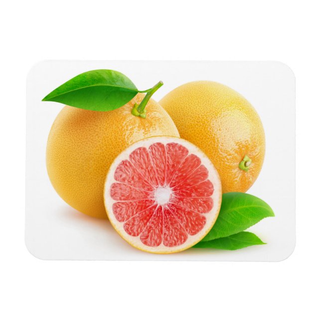 Pink grapefruits magnet (Horizontal)