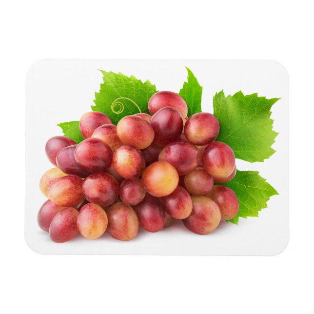 Pink grapes magnet (Horizontal)