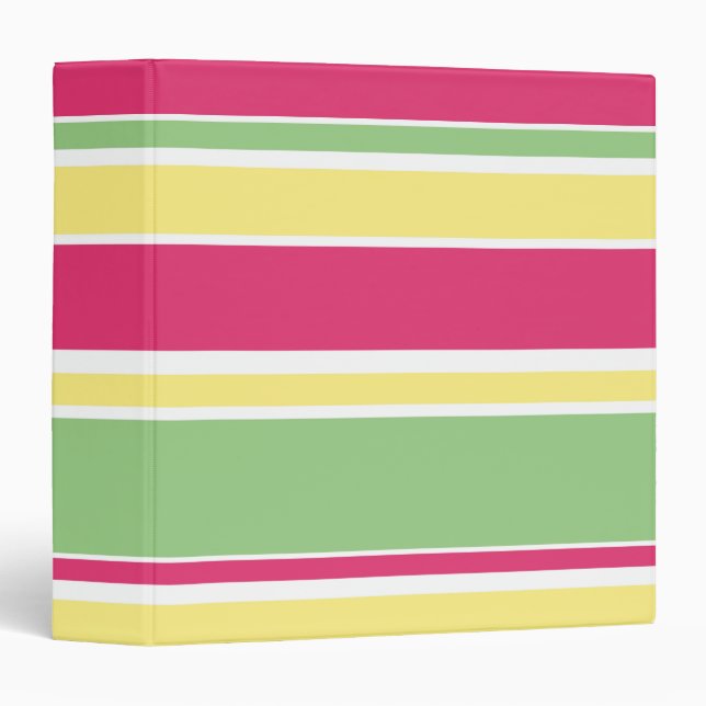 Pink, green and yellow stripes binder (Front/Spine)