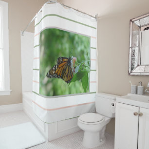 Pink Green Stripes Monarch Butterfly
