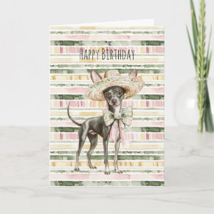 Pink Green Yellow Stripes Chihuahua Dog Birthday Card