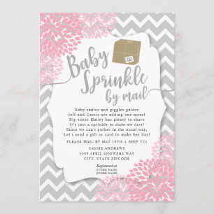 Pink Grey Floral Baby Sprinkle by mail Invitation