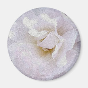 Pink grey rose magnet