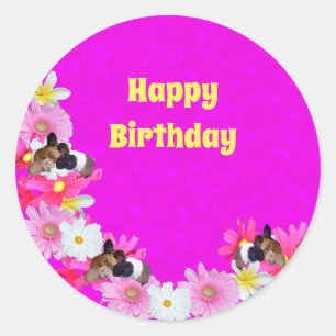 Pink Guinea Pigs And Flowers, Round Stickers