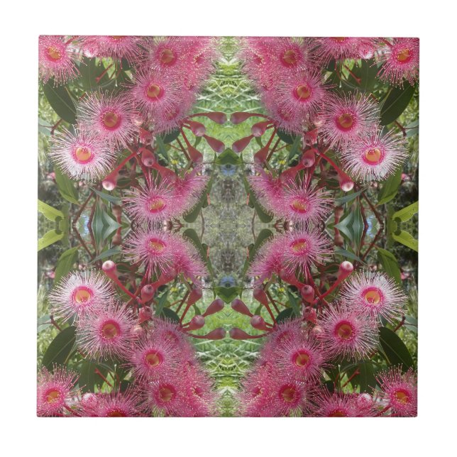 Pink Gumnut Eucalyptus Flowers Australian Native Tile (Front)