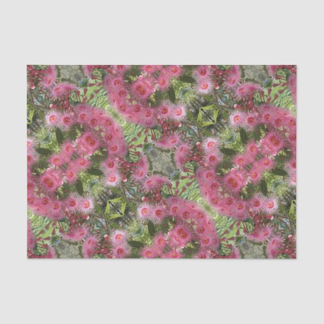 Pink Gumnut Eucalyptus Flowers Australian Native Tissue Paper (Front)