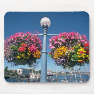 Pink Hanging flowers, Victoria flowers Mouse Pad