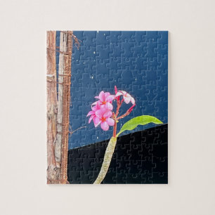 Pink Hawaii Plumeria Flower Jigsaw Puzzle