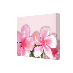 Pink Hawaiian Hibiscus Flowers Canvas Print