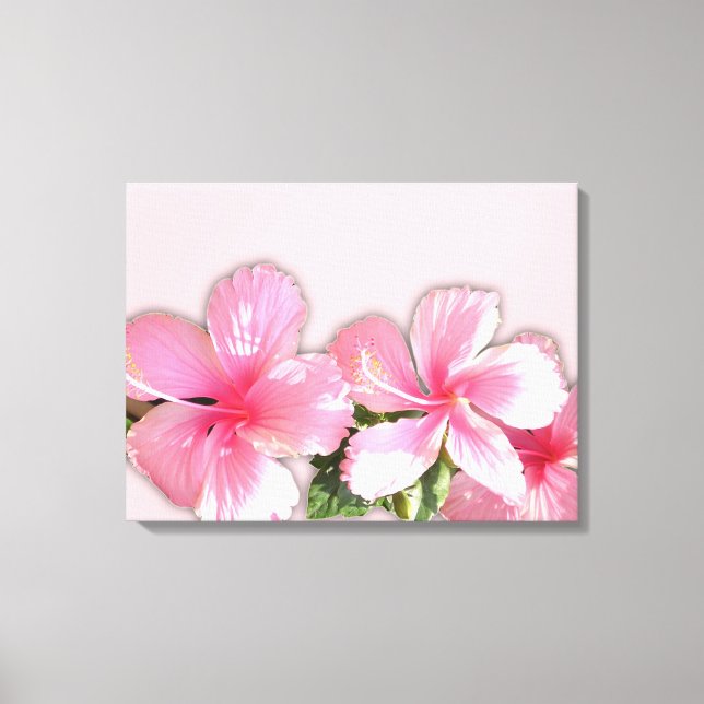 Pink Hawaiian Hibiscus Flowers Canvas Print (Front)
