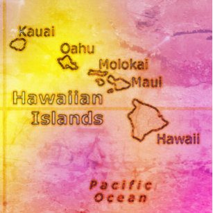 Pink Hawaiian islands vintage style Binder