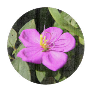 Pink Hawaiian Plumeria  Poster Faux Canvas Print A Cutting Board