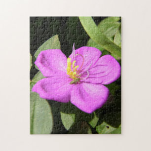 Pink Hawaiian Plumeria Poster Faux Canvas Print A Jigsaw Puzzle