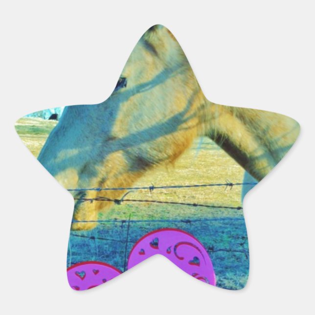 Pink Heart and Yellow Horse Star Sticker (Front)