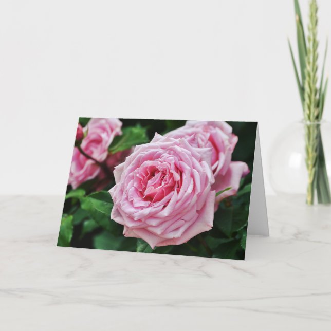 Pink Heirloom Rose Écriture Carte 2 Pierre 1:2 (Devant)