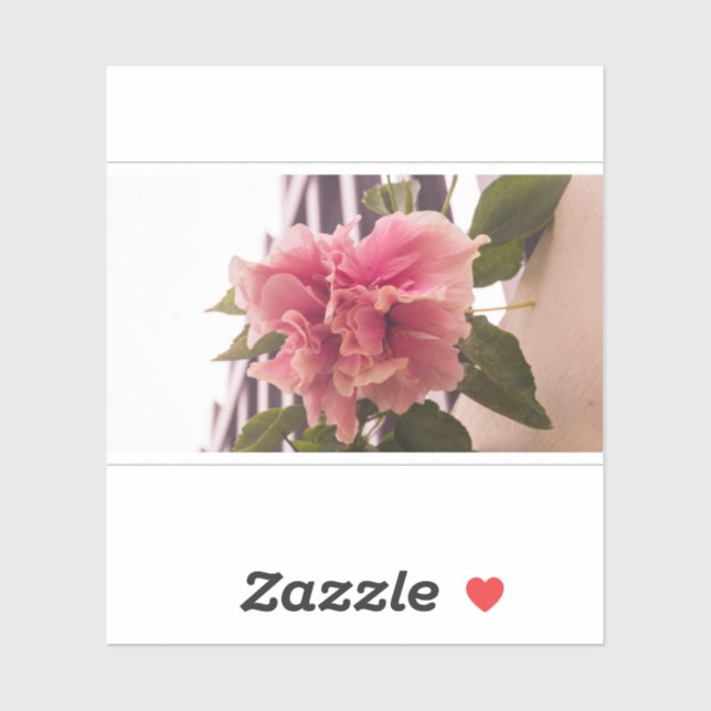 Pink Hibiscus 02 (Sheet)