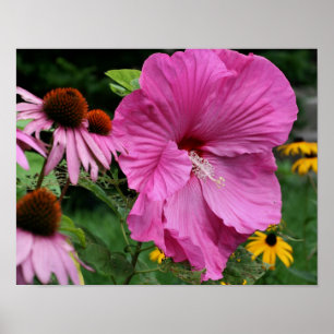 Pink Hibiscus And Flower Garden Friends  Poster