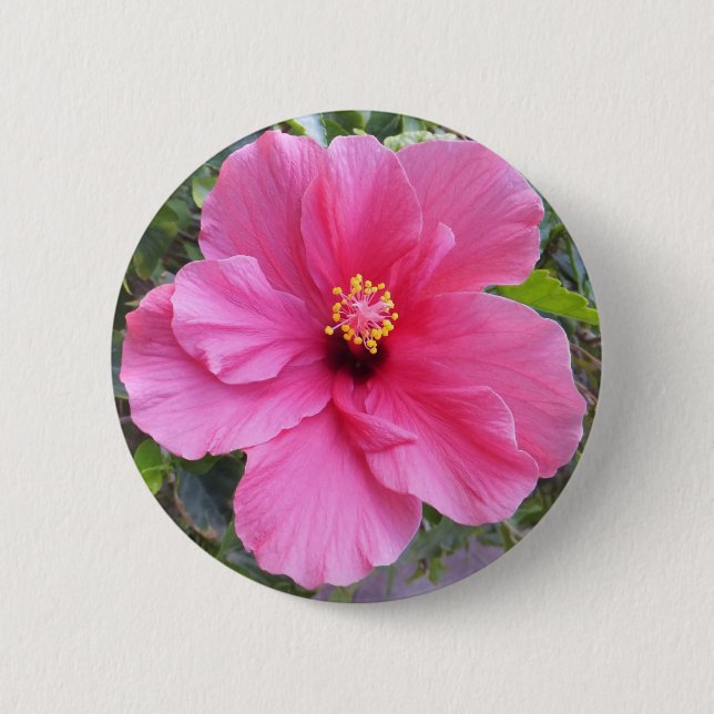 Pink Hibiscus button (Front)