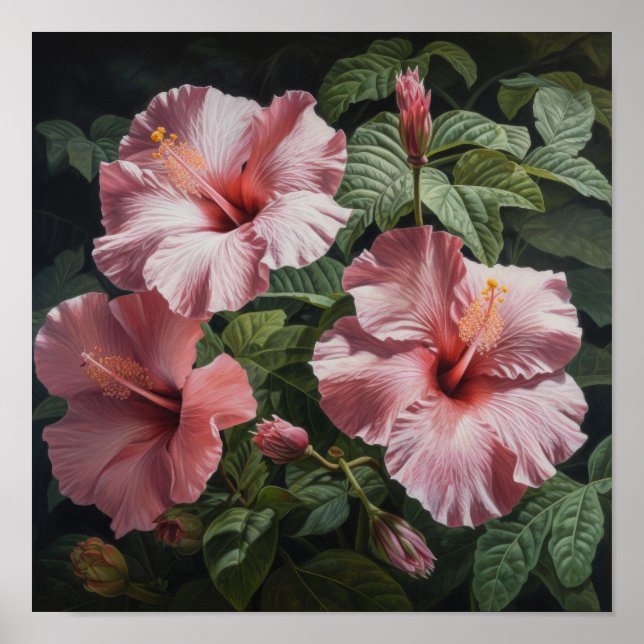 Pink Hibiscus Flower Art Imprimer Poster (Devant)