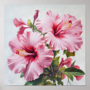 Pink Hibiscus Flower Art Print Poster