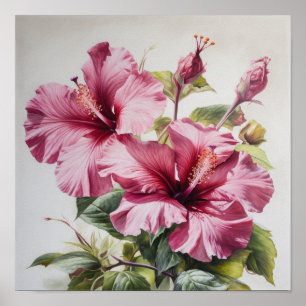 Pink Hibiscus Flower Art Print Poster