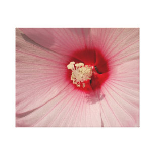 Pink Hibiscus Flower Close Up Photo  Single Print