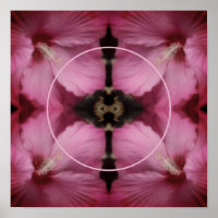 Pink Hibiscus Flower Frame Create Your Own Photo