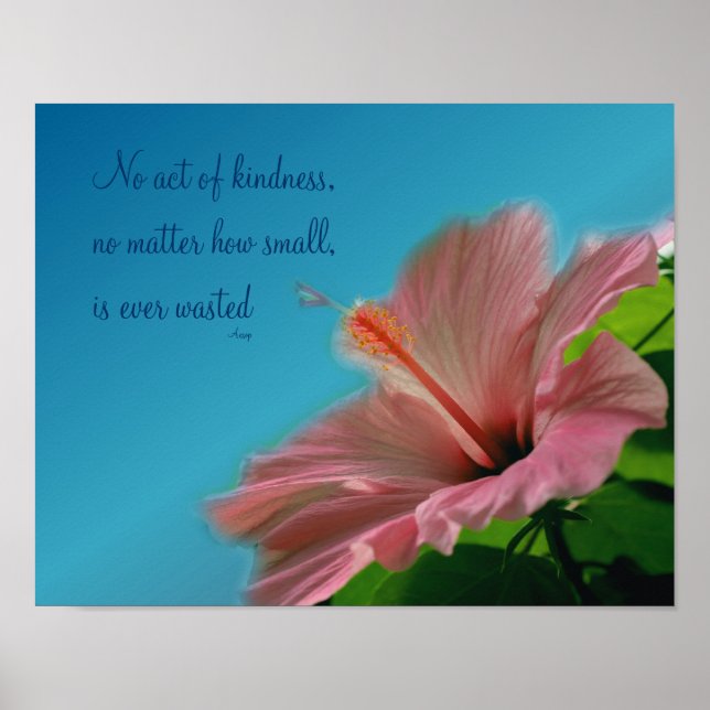 Pink Hibiscus Flower Kindness Quote Inspirational Poster (Front)