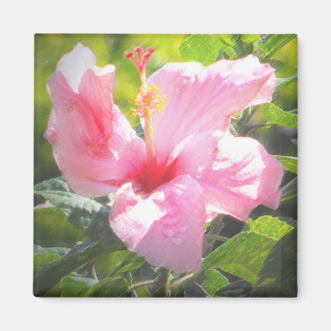 Pink Hibiscus Flower Magnet (Front)